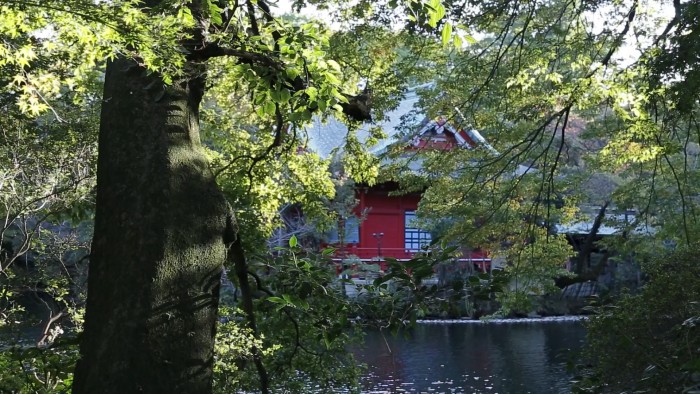 井の頭公園やくしまるえつこ公園放送の動画公開中